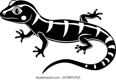 Madagascar gecko isolated on white background