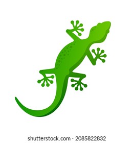 Madagascar Gecko lizard vector illustration Simple salamander Logo Icon reptile Clipart