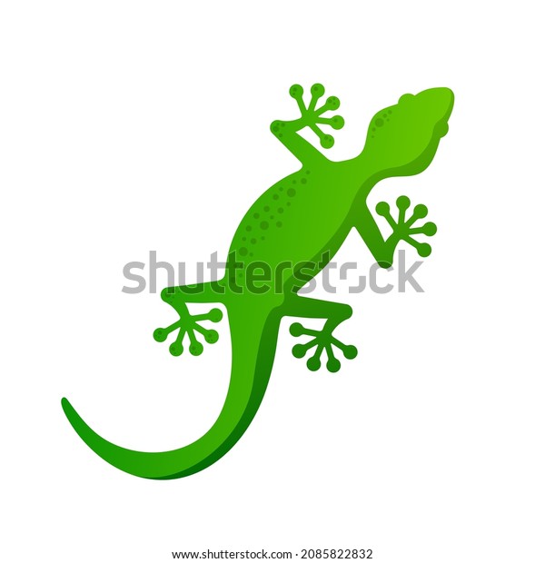 Madagascar Gecko Lizard Vector Illustration Simple Stock Vector ...