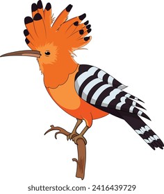 Madagascar hoopoe sitting on a tree branch