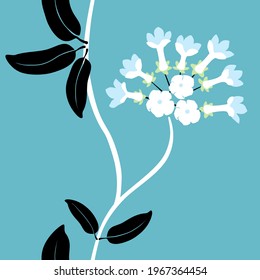 Madagascar jasmine flower vector, stephanotis floribunda illustration abstract bright botanical seamless pattern