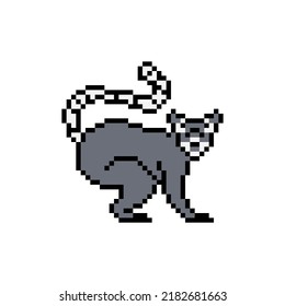 Madagascar lemur. Pixel vector illustration.