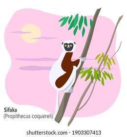 Madagascar lemur (sifaka) on the tree in front of sky (vector illustration). One of the most endangered animals of Madagascar