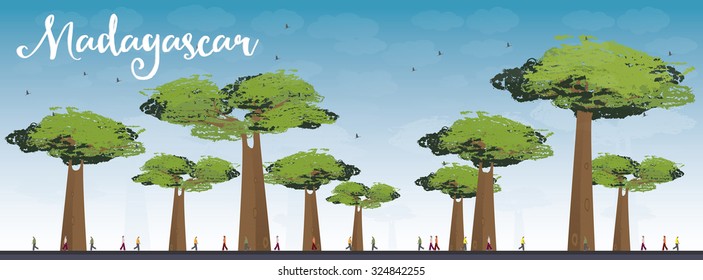 Madagascar Baobab Avenue Illustrations Images Et Images Vectorielles De Stock Shutterstock