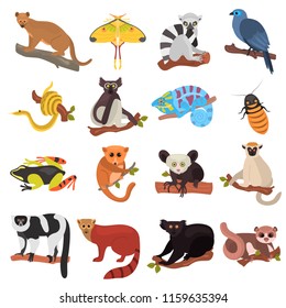 Madagascar unique animals color flat icons set