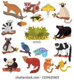 53,112 Madagascar animals Images, Stock Photos & Vectors | Shutterstock