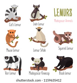 Madagascar unique lemurs with names color flat icons set