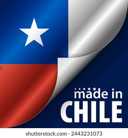 Made in Chile graphic and label. Element of impact for the use you want to make of it.