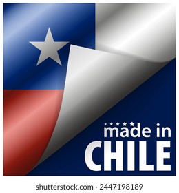 Made in Chile graphic and label. Element of impact for the use you want to make of it.