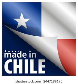 Made in Chile graphic and label. Element of impact for the use you want to make of it.