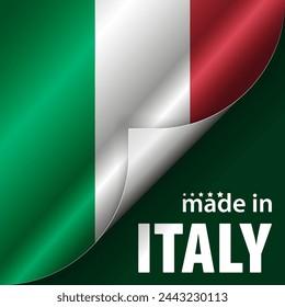 Made in Italy graphic and label. Element of impact for the use you want to make of it.