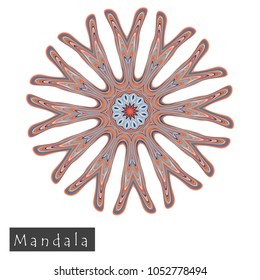 Made of thin lines detailed mandala. Floral symmetrical geometrical symbol. Vector flower mandala icon isolated on white. Oriental round colored pattern. 
