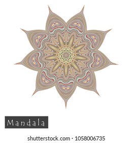 Made of thin lines detailed mandala. Floral symmetrical geometrical symbol. Vector flower mandala icon isolated on white. Oriental round colored pattern. 