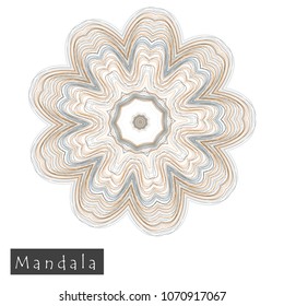 Made of thin lines detailed mandala. Floral symmetrical geometrical symbol. Vector flower mandala icon isolated on white. Oriental round colored pattern. 
