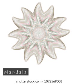 Made of thin lines detailed mandala. Floral symmetrical geometrical symbol. Vector flower mandala icon isolated on white. Oriental round colored pattern. 