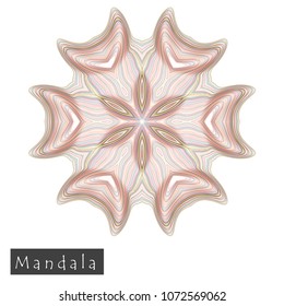 Made of thin lines detailed mandala. Floral symmetrical geometrical symbol. Vector flower mandala icon isolated on white. Oriental round colored pattern. 