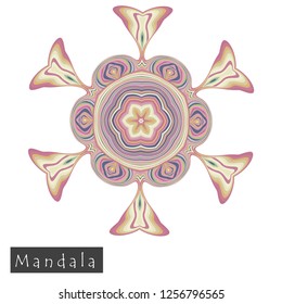 Made of thin lines detailed mandala. Floral symmetrical geometrical symbol. Vector flower mandala icon isolated on white. Oriental round colored pattern. 