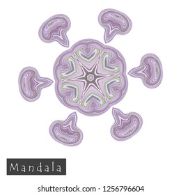 Made of thin lines detailed mandala. Floral symmetrical geometrical symbol. Vector flower mandala icon isolated on white. Oriental round colored pattern. 