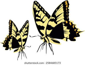 I made a vector illustration of a beautiful butterfly with quite complicated images and colors