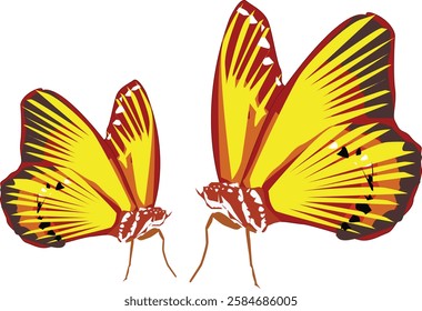 I made a vector illustration of a butterfly with quite complicated images and colors