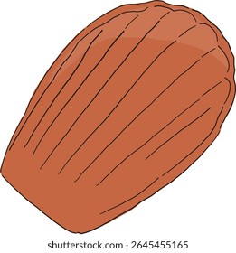 Ilustração de Bolo Madeleine | Clássico francês Shell-Shaped Pastry Vetor