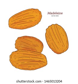 Madeleine de Commercy / Famous French pastry, hand draw sketch vector.