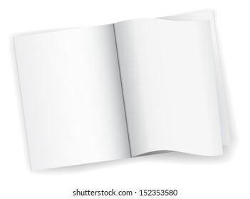 magazine book blank