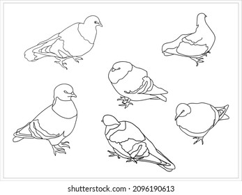 mage of birds. Pigeons..Image on white and colored background.Pattern.