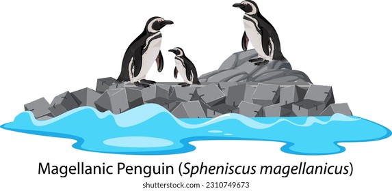 Magellanic penguin cartoon on the rock illustration