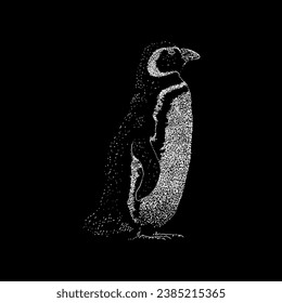 magellanic penguin hand drawing vector isolated on black background.