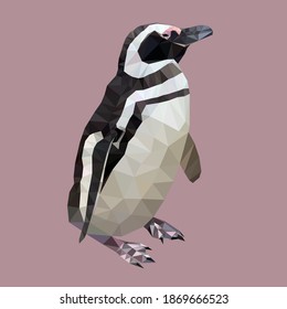 Magellanic Penguin In Low Poly Technique