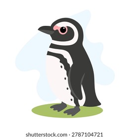 Magellanic penguin standing calmly, Magellanic penguin displaying black white plumage, Spheniscus magellanicus vector bird illustration.