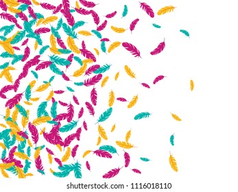 Magenta blue yellow feather ethnic background vector pattern. Tender background with plumelet. Flying feather elements cute vector design for card, banner.