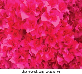 Magenta flower bush