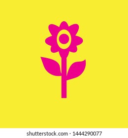 Magenta Flower Vector Design Art