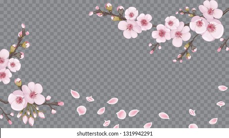 Magenta on transparent background. Design element for fabric, invitations, packaging, cards. Handmade background in the Japanese style. Festive frame horizontal of sakura flowers.