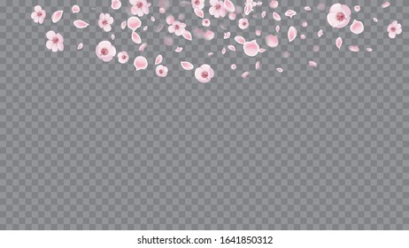 Magenta on Transparent. Colorful Poster On Soft Transparent Background. Flying Petals In Realistic Style. Wedding Template.