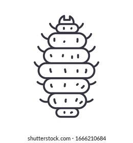 maggot insect icon over white background, line detail style, vector illustration