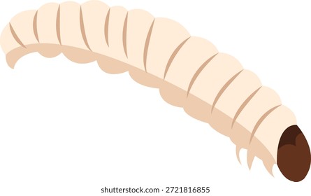  Gusano, larva de mosca.