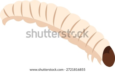  Maggot, larva of a fly.