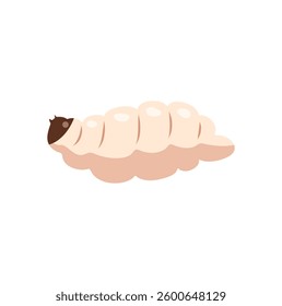 Maggot or larva vector illustration