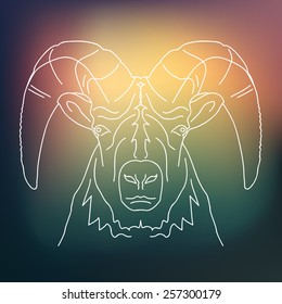 Magic aries vector drawing