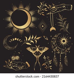 Magic art vector set. Decorative symbolic moth, planets, herbs and stars. Gold contour sketches, vector mythology set.