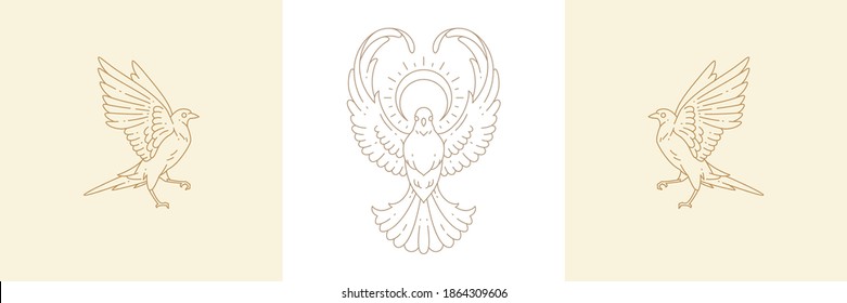 Magic birds and flight dove with sun in boho linear style vector illustrations set. Simple bohemian emblems in golden lines with birds for mythical creature and esoteric concept.