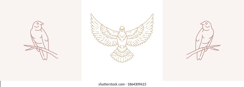 Magic birds on branch and flight dove with sun in boho linear style vector illustrations set. Simple bohemian emblems in golden lines with birds for mythical creature and esoteric concept.