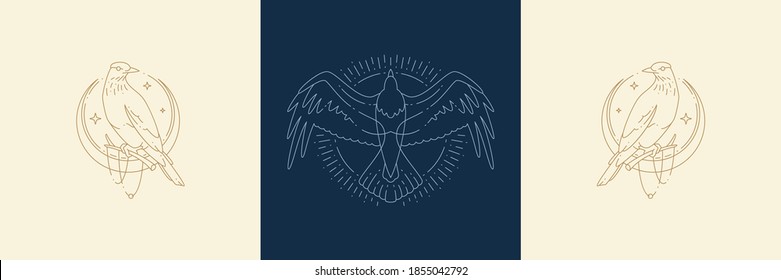 Magic birds on moon and flight raven in boho linear style vector illustrations set. Simple bohemian emblems in golden lines with birds and crescent for mythical design and esoteric concept.