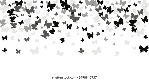 Magic black butterflies abstract vector background. Summer vivid moths. Fancy butterflies abstract children illustration. Tender wings insects graphic design. Garden creatures.