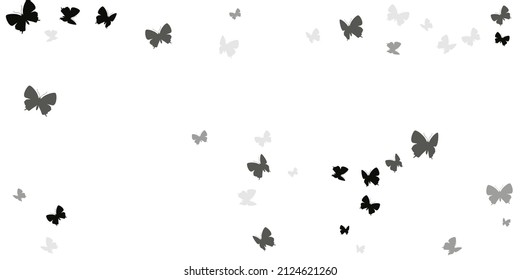 Magic black butterflies flying vector illustration. Spring ornate moths. Wild butterflies flying fantasy background. Delicate wings insects graphic design. Tropical creatures.