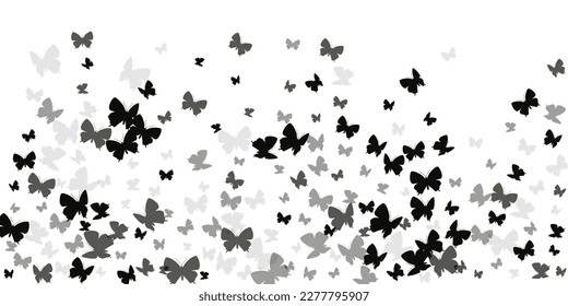 Magic black butterflies isolated vector illustration. Summer beautiful moths. Wild butterflies isolated dreamy wallpaper. Tender wings insects patten. Tropical beings.