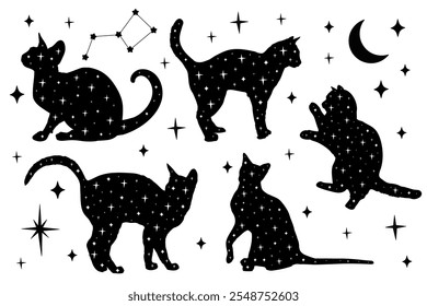 Magic black cats. Concept of witches, esoteric, mystic